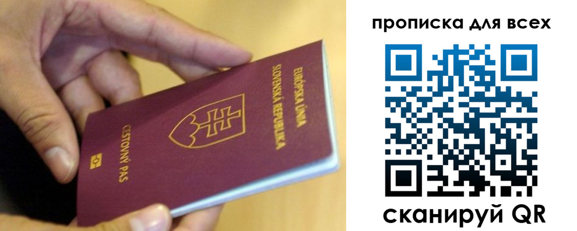 прописка паспорт в Козельске